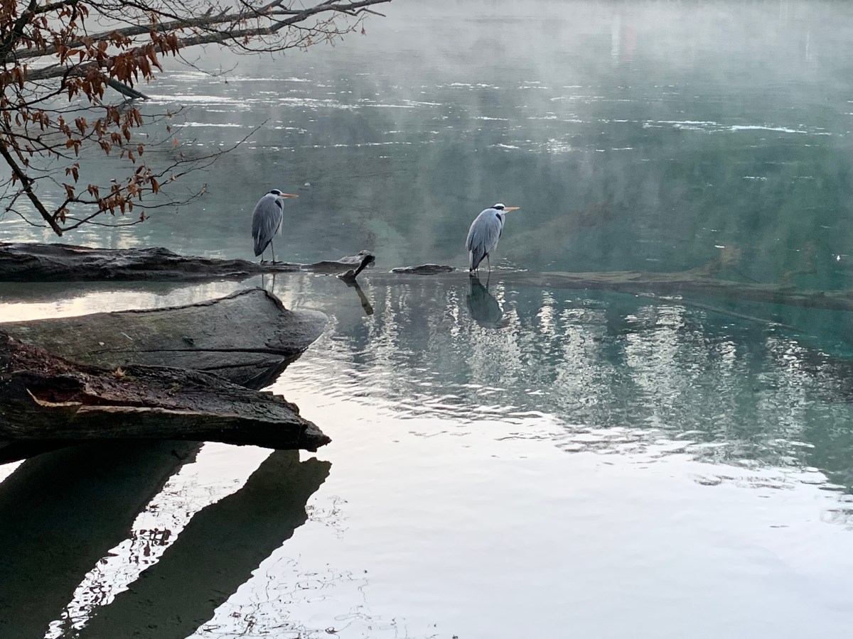 Superé la depresión; esto fue lo que me ayudó a mí