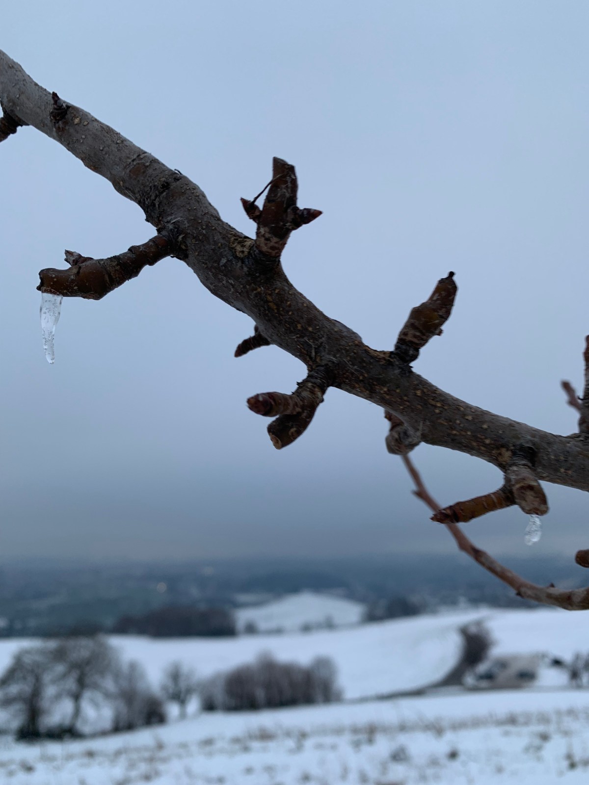 Away from the shopping frenzy